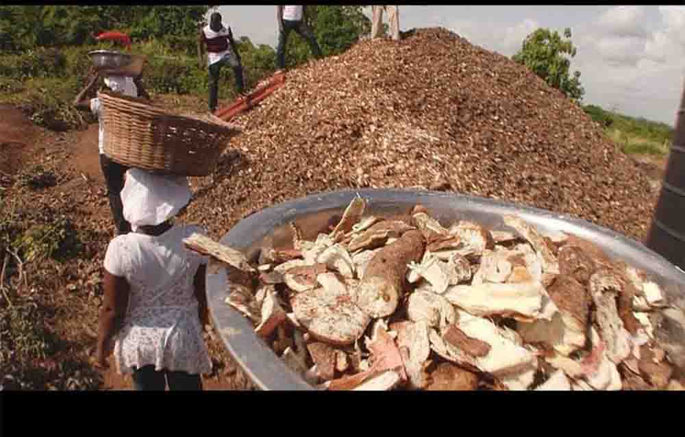 Biogaz et compost à partir de déchets de manioc et de piment