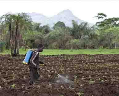 Engrais et biopesticides